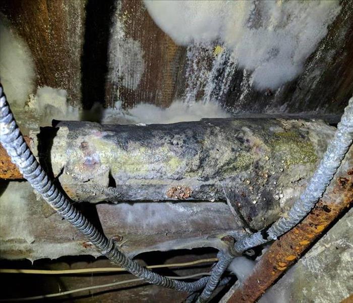 Moldy Basement Pipe