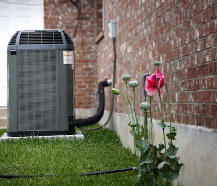 outside air conditioning unit with a pink flower growing next to it